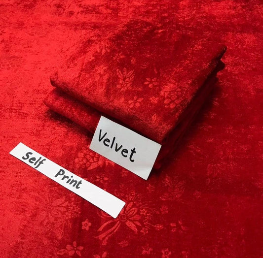 VELVET 2PC D3007
